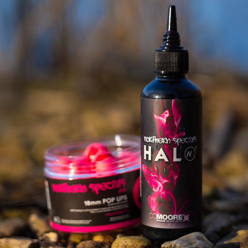 ccmoore halo pink-1a