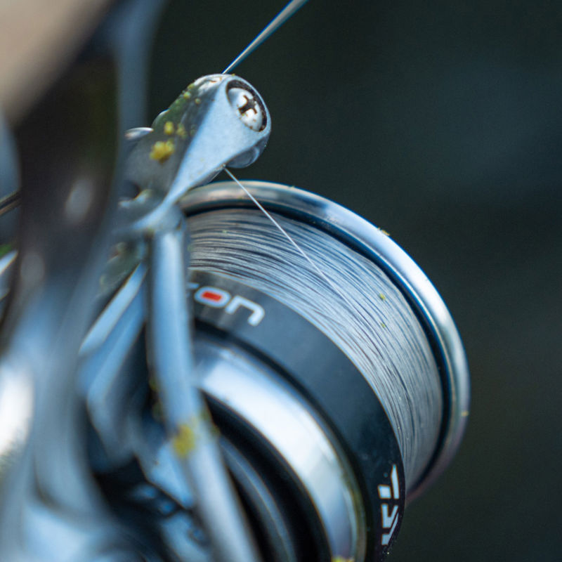 daiwa nzon feeder braid-8
