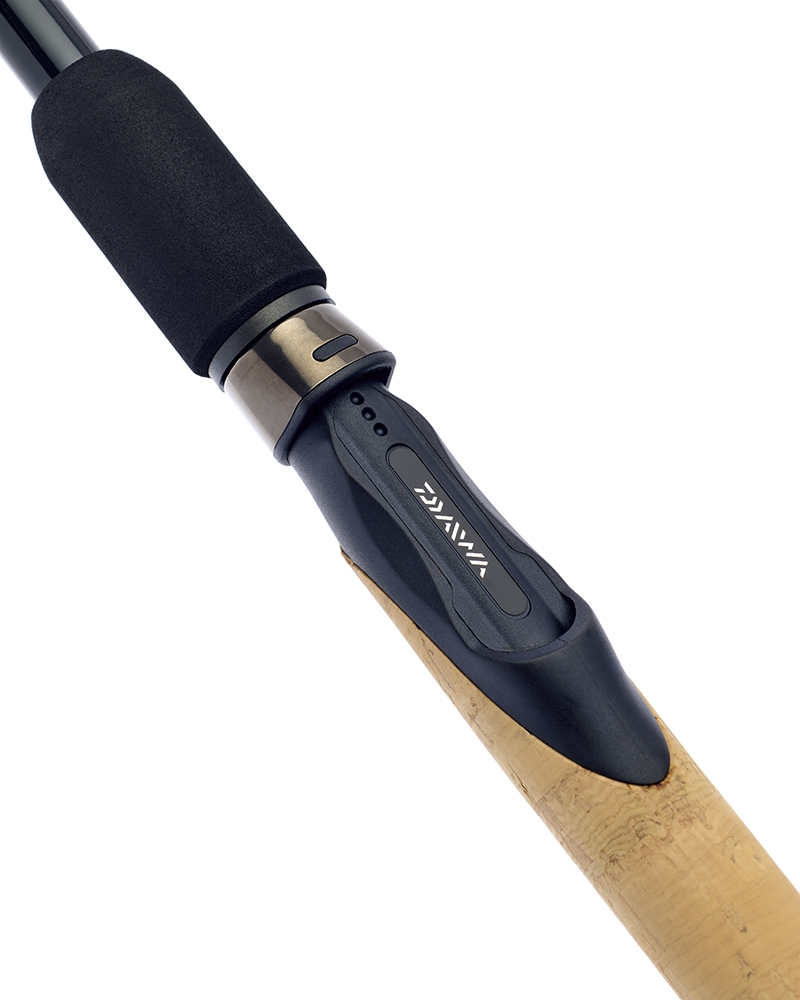 daiwa theory speci rods-2