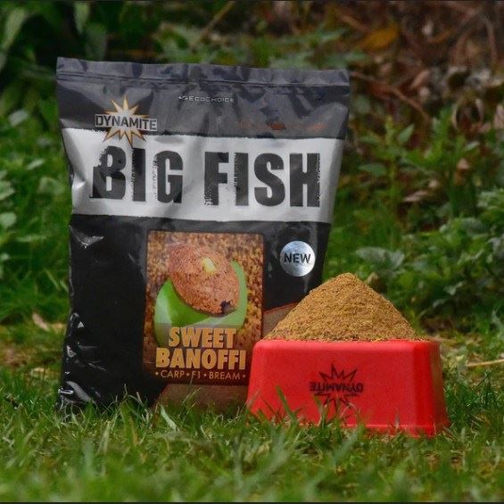 Dynamite Baits Big Fish Sweet Banoffi Groundbait