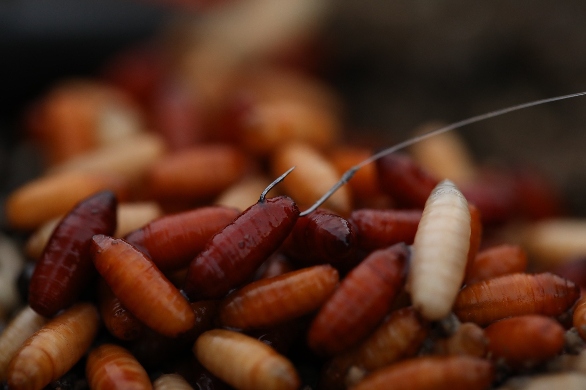 guru pole special hooks-2