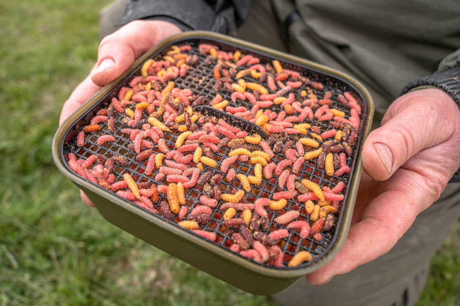 korum bait tubs-3