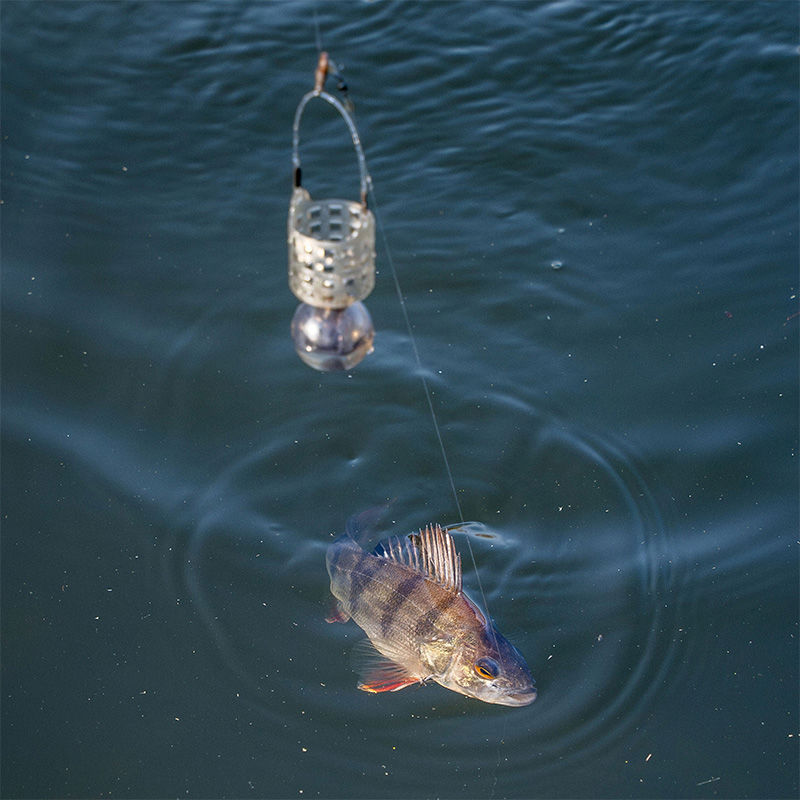 korum slow sinking feeders-5