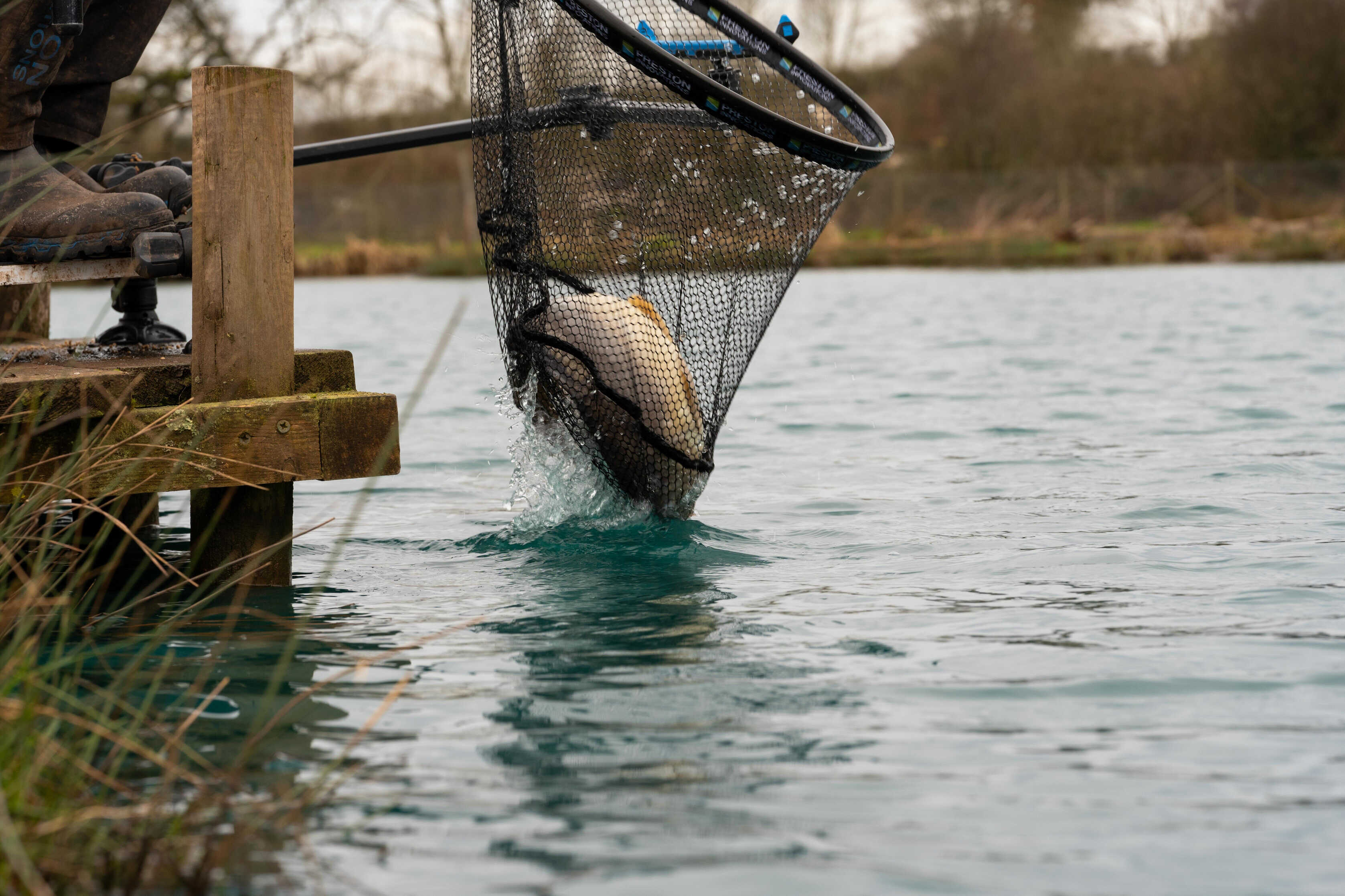 preston carp xs net-7