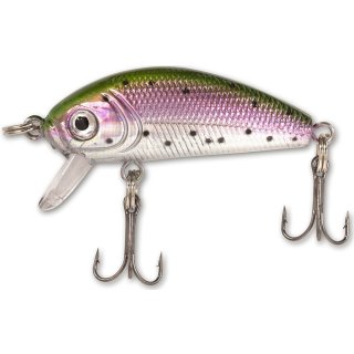 zebco gitec perch-2